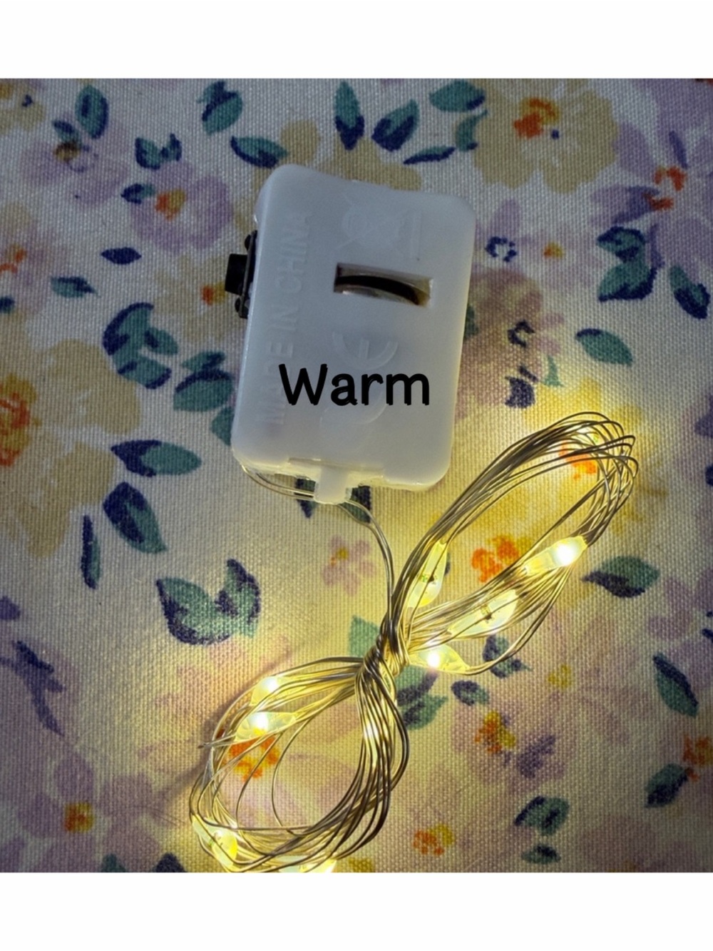 One Warm or White Battery String Lights with White Controller x 10 Lights